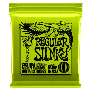 ernieball 2221