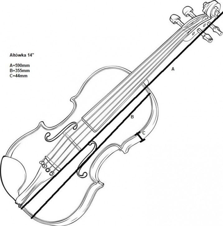 Altówka 14 6