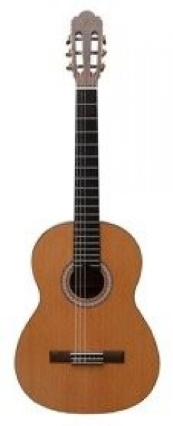 pol_ps_Prodipe-Guitars-Primera-4-4-gitara-klasyczna-6328_1