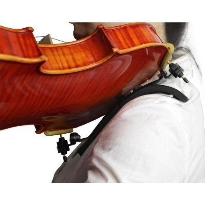Kapaier Violin