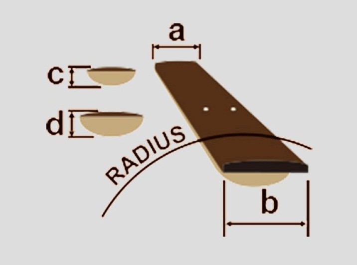 neck_01